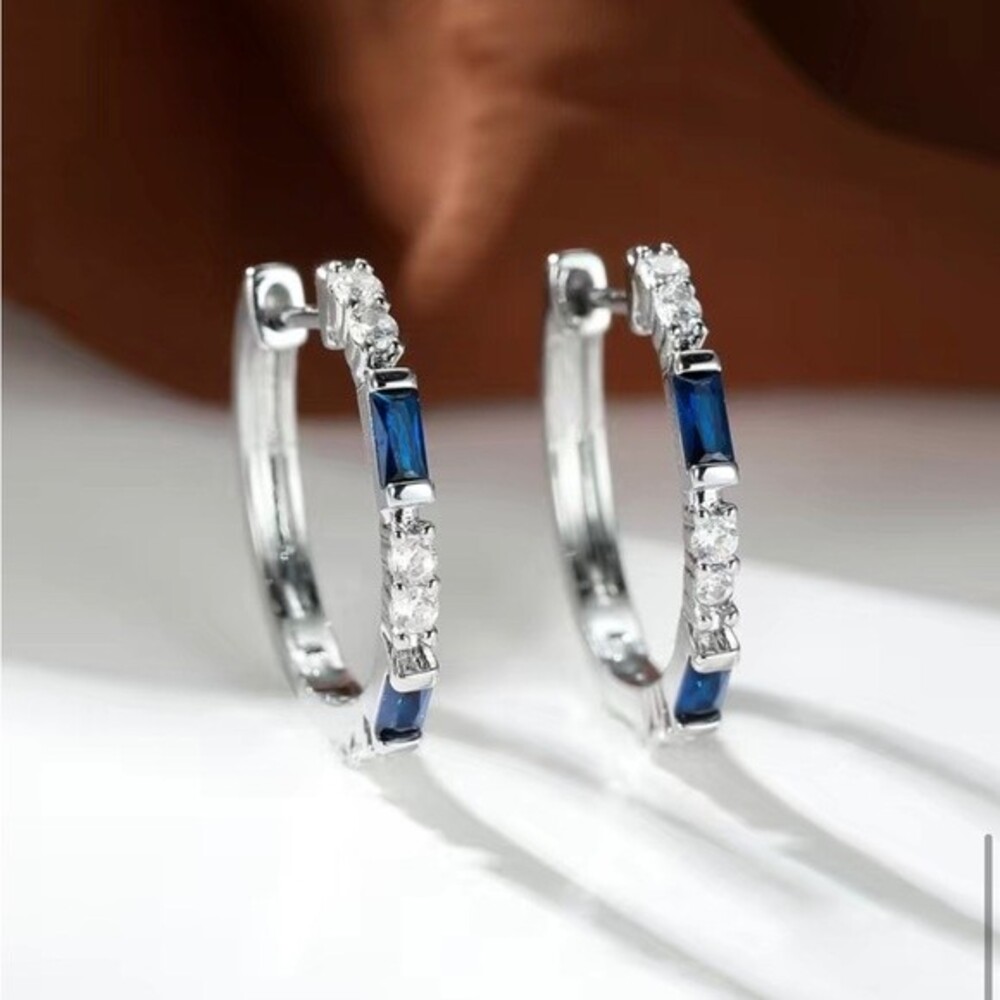 Zircon Blue & White Silver Earrings